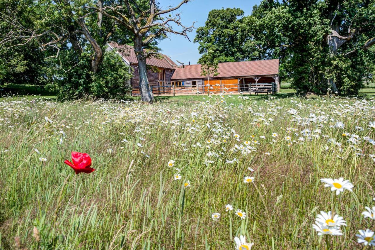 South Park Farm Barn Bed & Breakfast Andover Ngoại thất bức ảnh