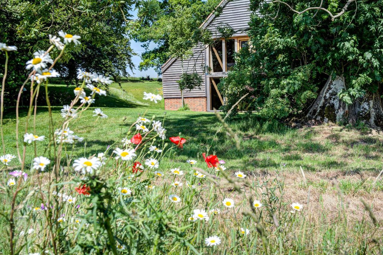 South Park Farm Barn Bed & Breakfast Andover Ngoại thất bức ảnh